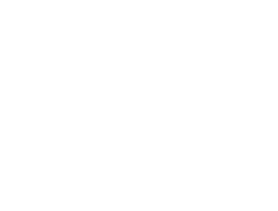 ANSA Motors