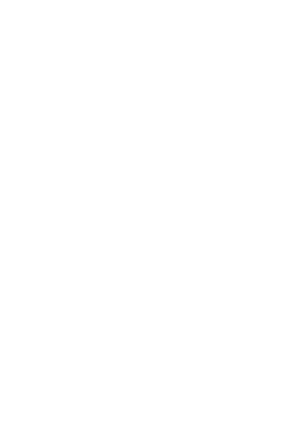 Bryden Pi